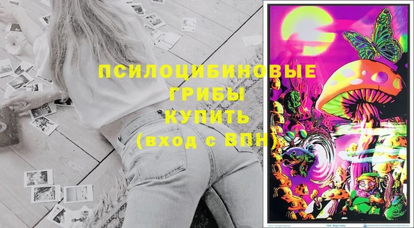 прущие крисы Алексин