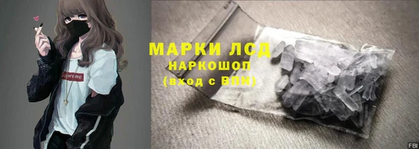 ECSTASY Алзамай