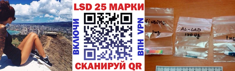 где купить наркоту  kraken зеркало  Наркотические марки 1,8мг  сайты даркнета как зайти  Камешково 