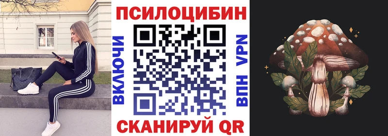 дарнет шоп  Камешково  Галлюциногенные грибы Psilocybine cubensis 