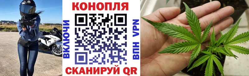 ОМГ ОМГ зеркало  Камешково  Каннабис сатива 